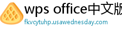 wps office中文版